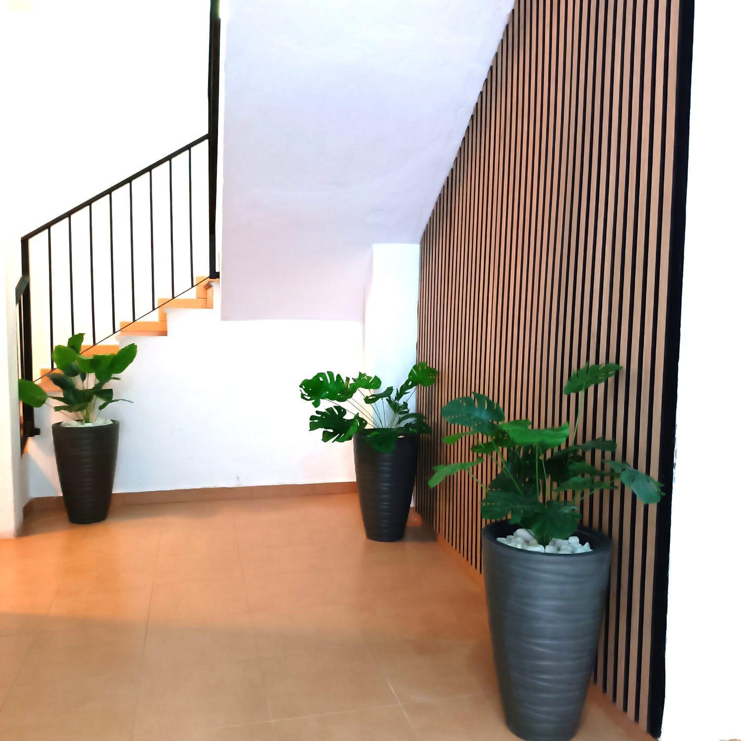 Apartamentos Duende Malaga Ngoại thất bức ảnh